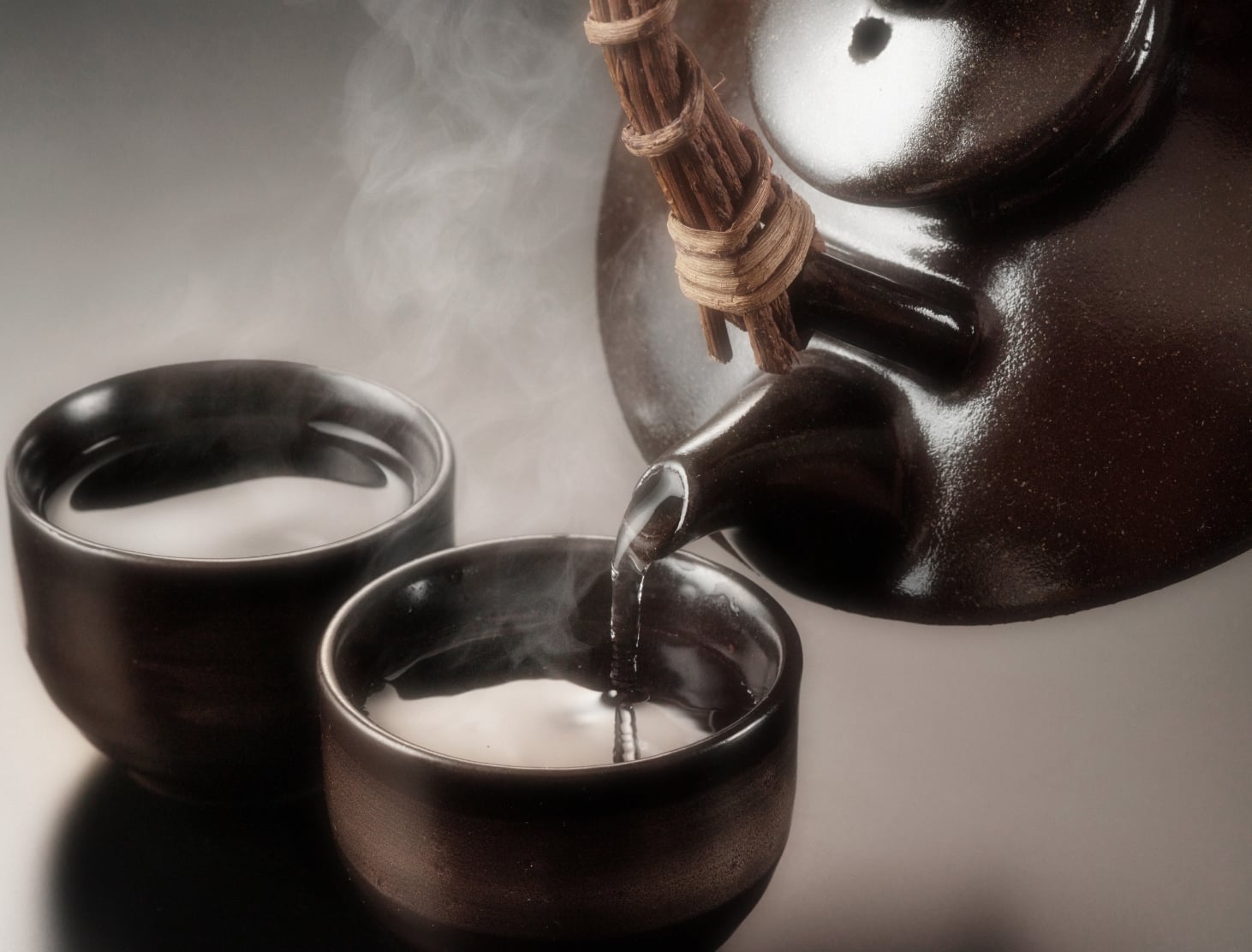 THE SHOCHU NAVIGATION