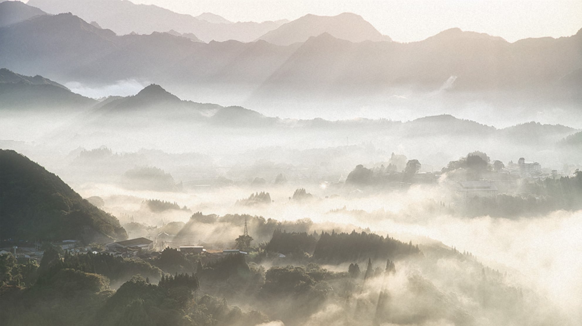 THE SHOCHU NAVIGATION