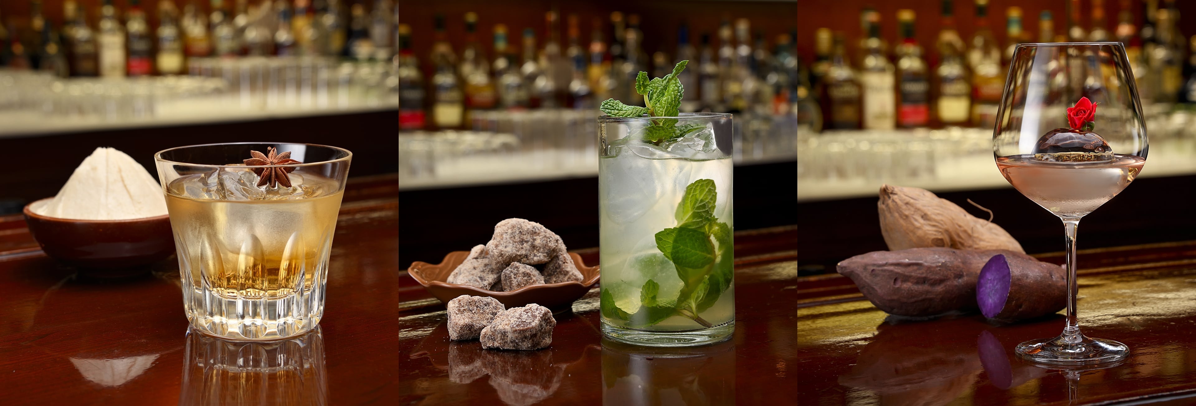 THE SHOCHU NAVIGATION