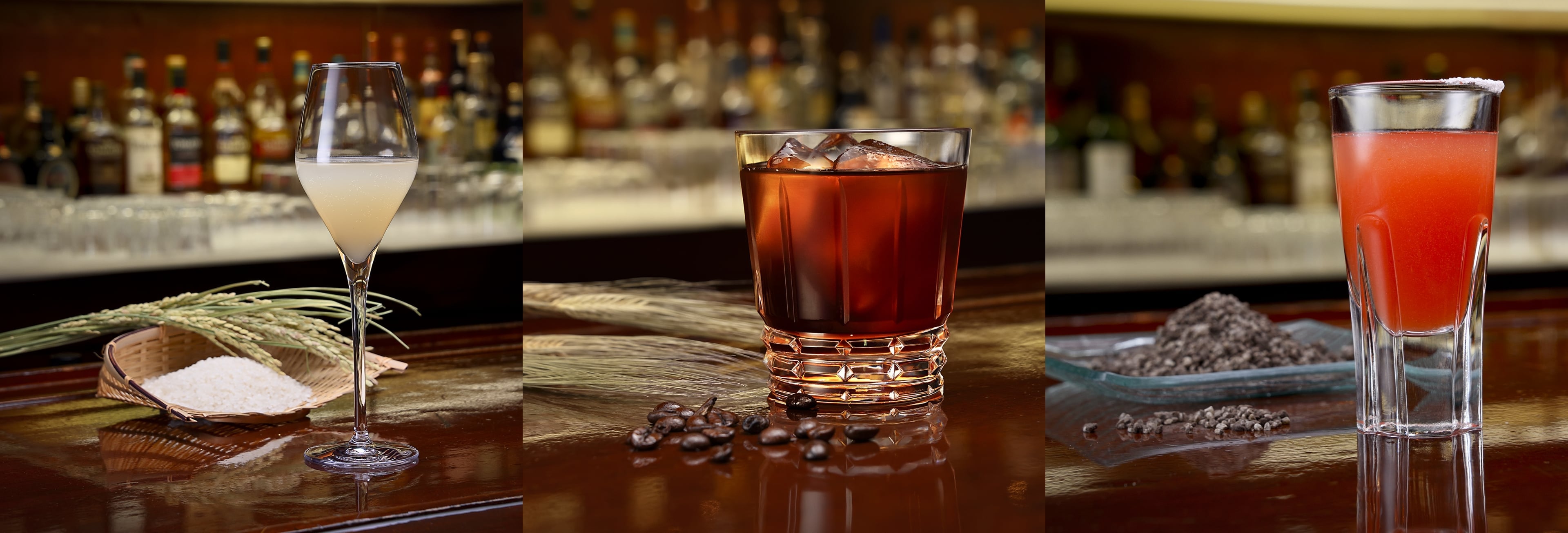 THE SHOCHU NAVIGATION